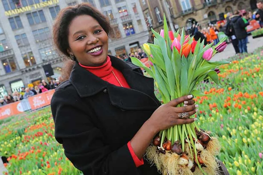 Tulips from Amsterdam
